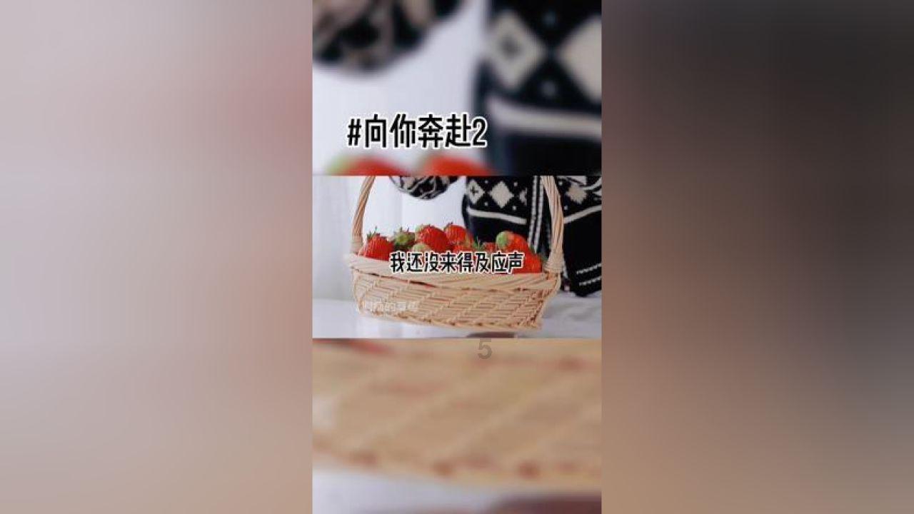 去年市城投公司完成总投资11.64亿元