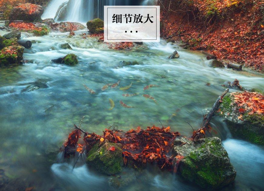 最美的校园女生66